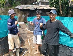 Desa Babakan Sadeng Buat Kolam Terpal Melalui Program Ketahanan Pangan