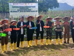 Antam dan Pemdes Kalong Liud Gelar Panen Raya 7.000 Pohon Cabai Merah di Bogor