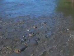 Warga Jasinga Geram, Sungai Cidurian Kembali Hitam Pekat Diduga Tercemar Limbah