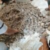 Jual Beli Waktu Ratusan Juta di Level 701 Kembali Terjadi, PT Antam dan APH di Minta Usut Tuntas Dalang Oknum Keamanan Yang Bermain