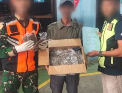 Satgas Pamtas Gagalkan Penyelundupan 725 Gram Ganja di Bandara Sentani Jayapura