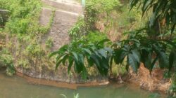 LSM Gerak Desak Pemkab Bogor: Segera Bangun Kembali Jembatan Nagreg Jasinga