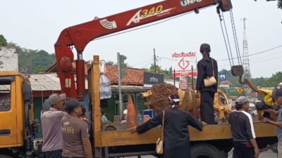 Tugu Singa Jasinga Dibangun Kembali, Patung Lama Akan Dipindahkan ke Pendopo Eks Kawedanaan